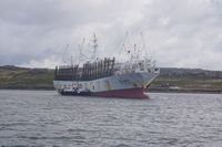 
DSC00060